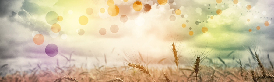 株式会社 トゥ ザ ネクスト